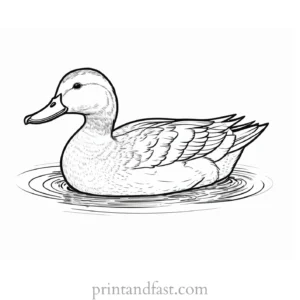 duck coloring page PDF