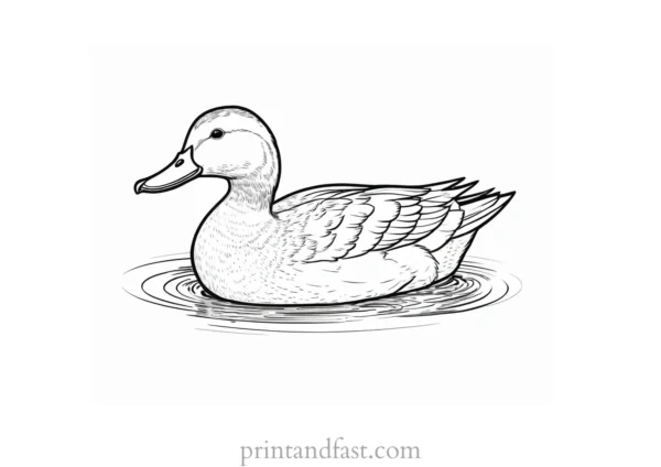 duck coloring page PDF