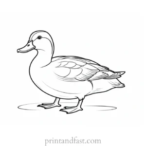 duck coloring page cute