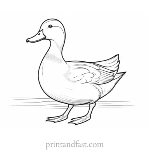 duck coloring page easy