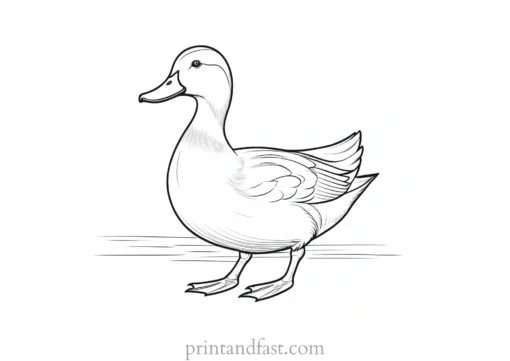 duck coloring page easy