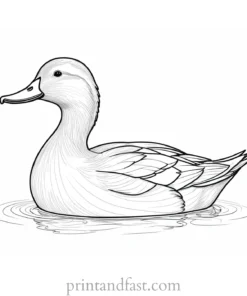 duck coloring page for adults