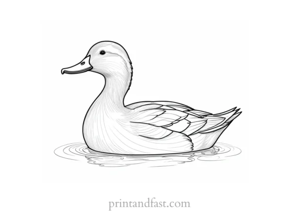 duck coloring page for adults