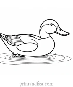 duck coloring page for preschoolers