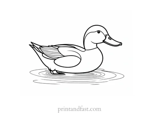 duck coloring page for preschoolers