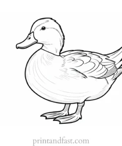 duck coloring page for toddlers