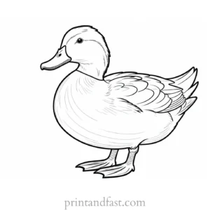 duck coloring page for toddlers