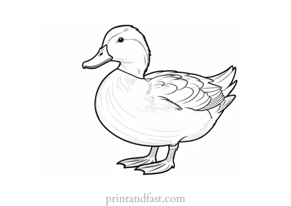 duck coloring page for toddlers