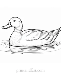 duck coloring page free