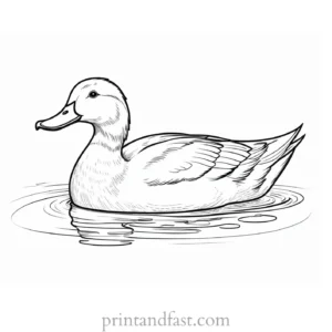 duck coloring page free