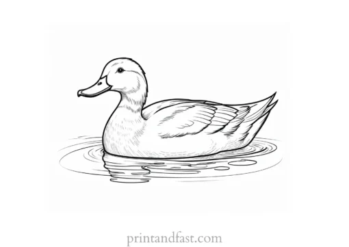 duck coloring page free