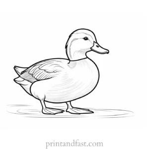 duck coloring page outline