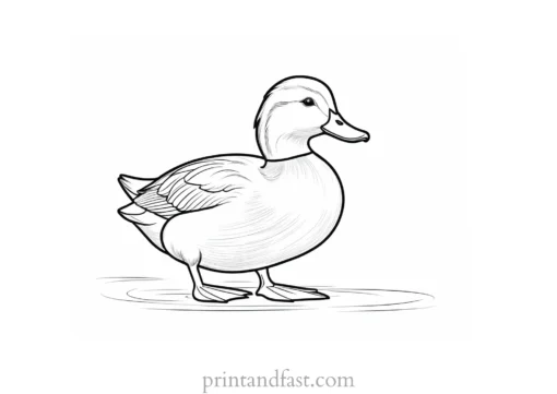 duck coloring page outline