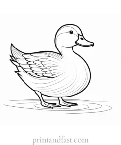 duck coloring page preschool