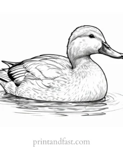 duck coloring page realistic