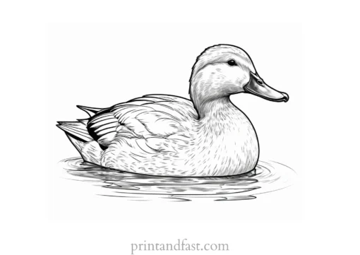 duck coloring page realistic