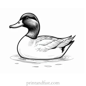 duck coloring page simple