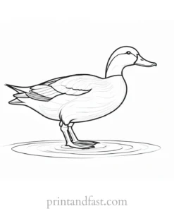 duck coloring page template