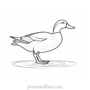 duck coloring page template