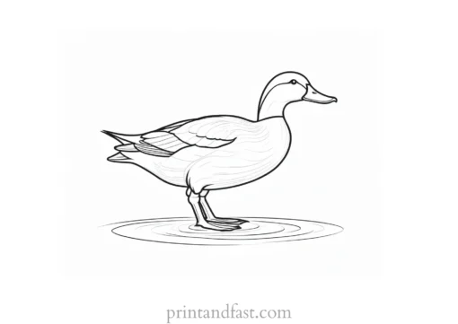 duck coloring page template