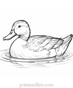 duck coloring page with water