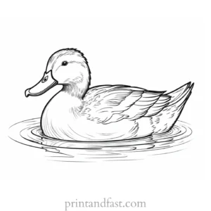 duck coloring page with water