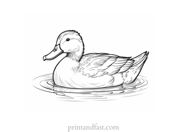 duck coloring page with water