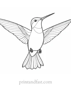 easy Hummingbird Coloring Page