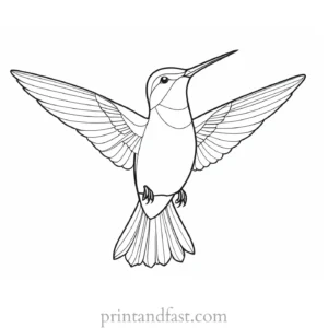 easy Hummingbird Coloring Page