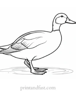 easy duck coloring page