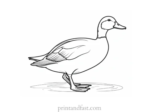 easy duck coloring page