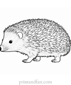 easy hedgehog coloring page