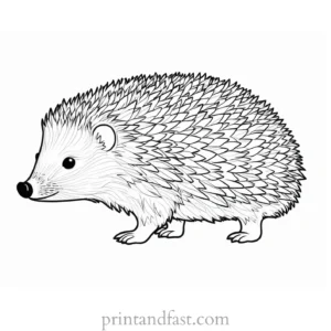 easy hedgehog coloring page