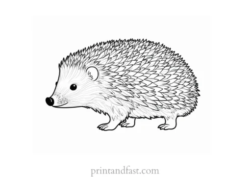 easy hedgehog coloring page