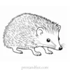 educational hedgehog coloring page