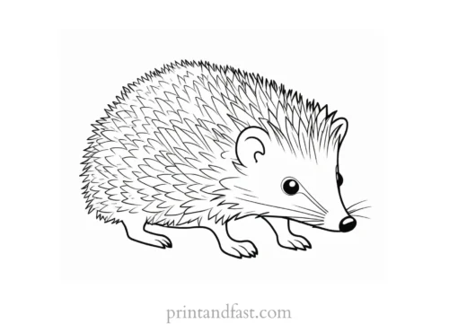 educational hedgehog coloring page