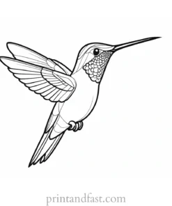 exotic Hummingbird Coloring Page