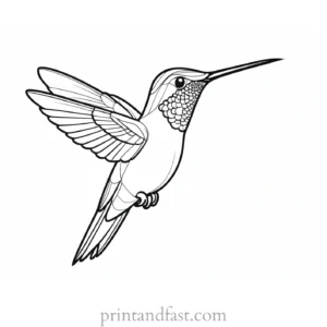 exotic Hummingbird Coloring Page