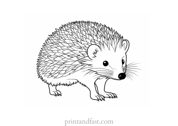 fall hedgehog coloring page