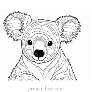 free Koala Coloring Page