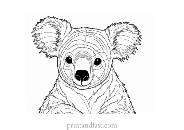 free Koala Coloring Page