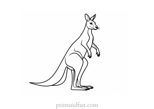 free kangaroo coloring page