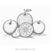 fruit coloring page black and white