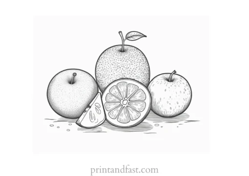 fruit coloring page black and white