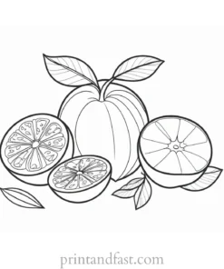 fruit coloring page creative