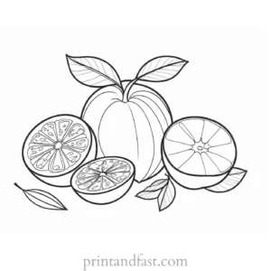 fruit coloring page creative