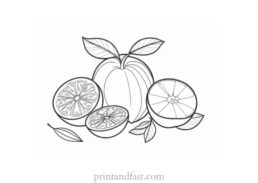 fruit coloring page creative