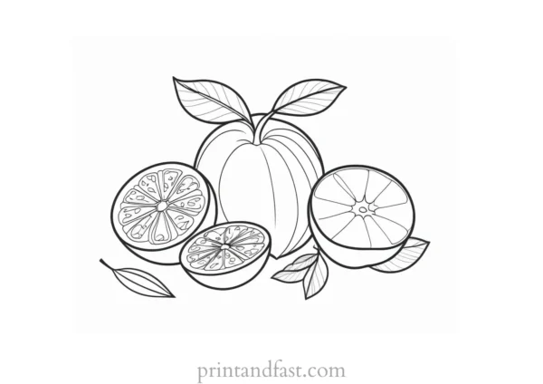 fruit coloring page creative