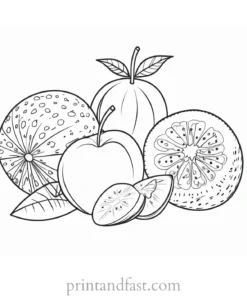 fruit coloring page cute