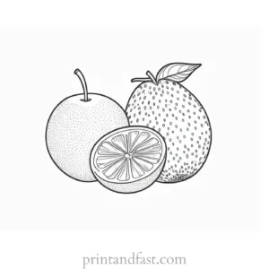 fruit coloring page online